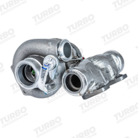 BorgWarner turboaggregat 13879980063