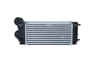Laddluftkylare NRF 30191