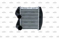 Laddluftkylare NRF 30257