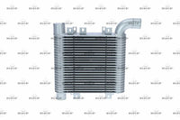 Laddluftkylare NRF 30331
