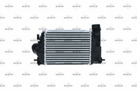Laddluftkylare NRF 30972