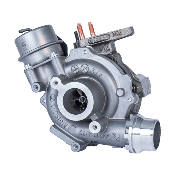 Renoverad BorgWarner Turbo 54389700002 originalbild BorgWarner 54389880006