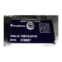 BorgWarner turboaggregat 318807