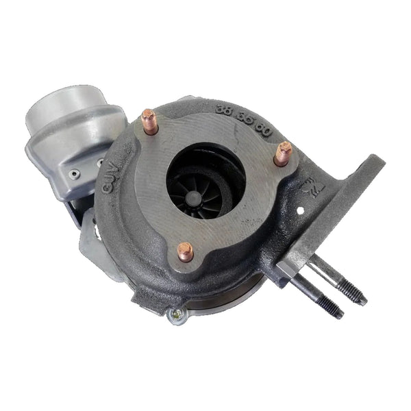BorgWarner turboaggregat 54389700001